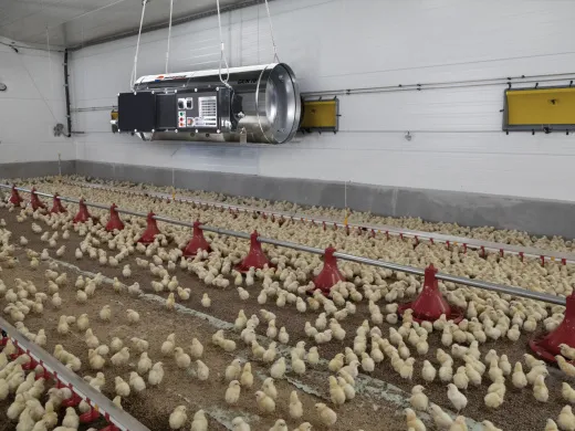 Тепловая пушка газовая Biemmedue GA/N 45 C