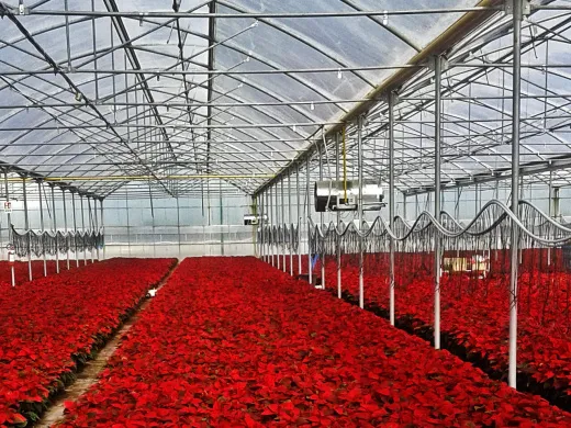 Тепловая пушка газовая Biemmedue GA/N 45 C