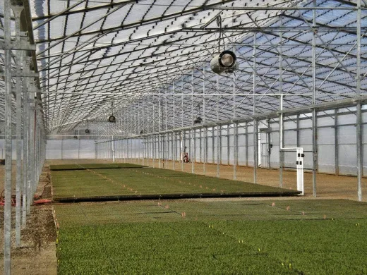 Тепловая пушка газовая Biemmedue GA 100 C