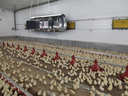 Тепловая пушка газовая ARCOTHERM GA/N 95 C