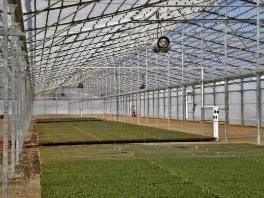 Тепловая пушка газовая ARCOTHERM GA 100 C