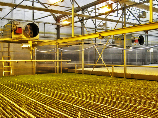 Тепловая пушка дизельная ARCOTHERM FARM 185T (ДИЗ.-ГАЗ)